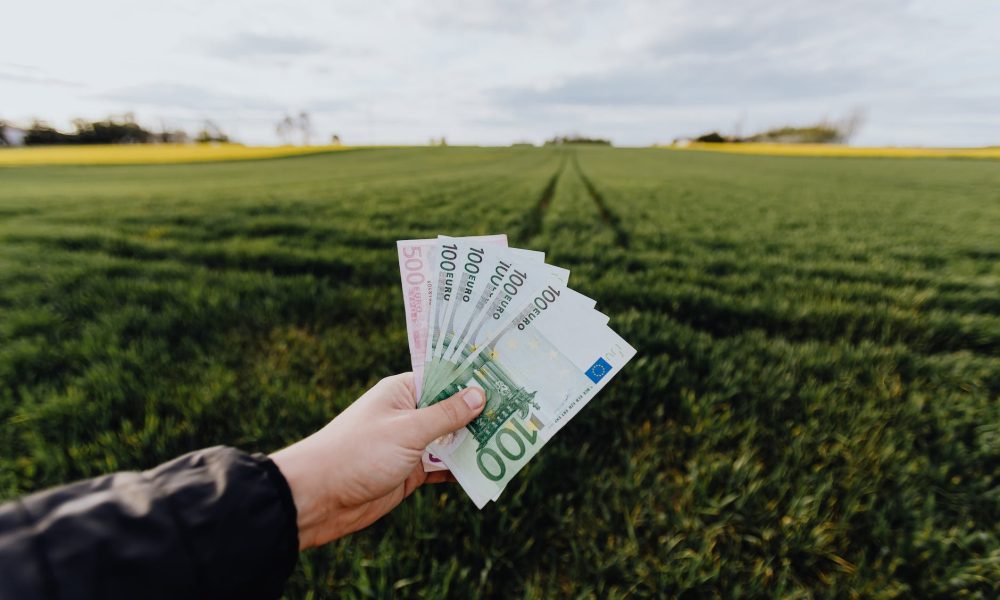 crop farmer showing money in green summer field in countryside