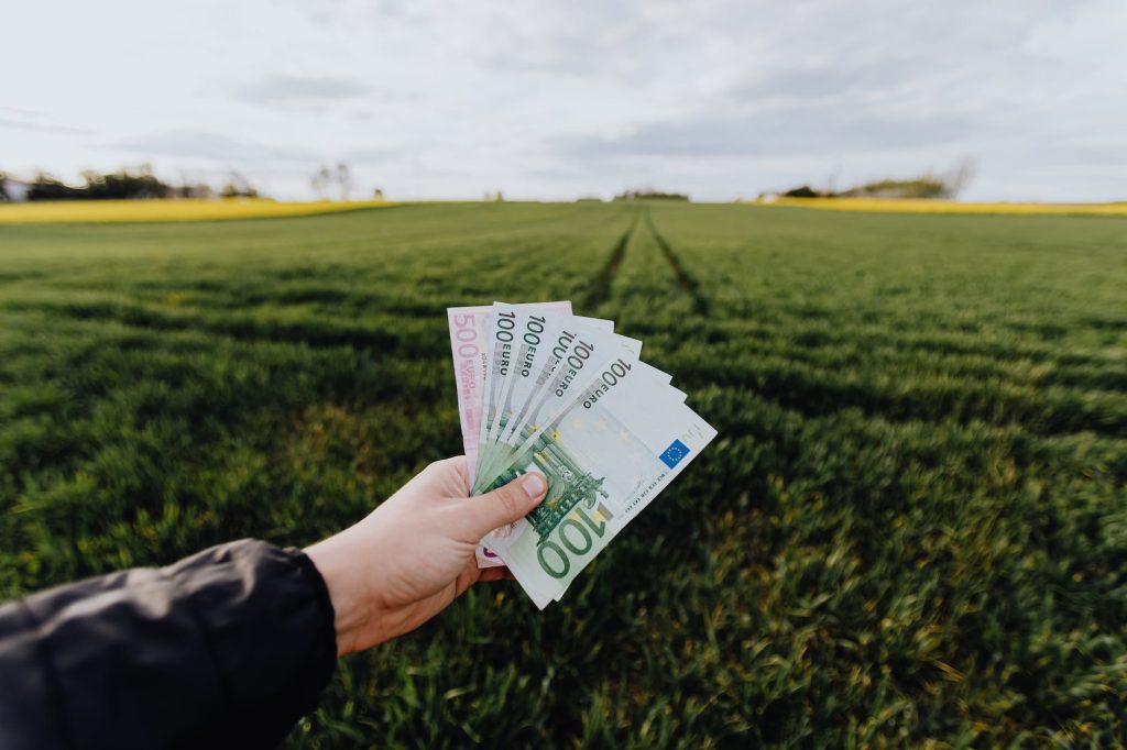 crop farmer showing money in green summer field in countryside