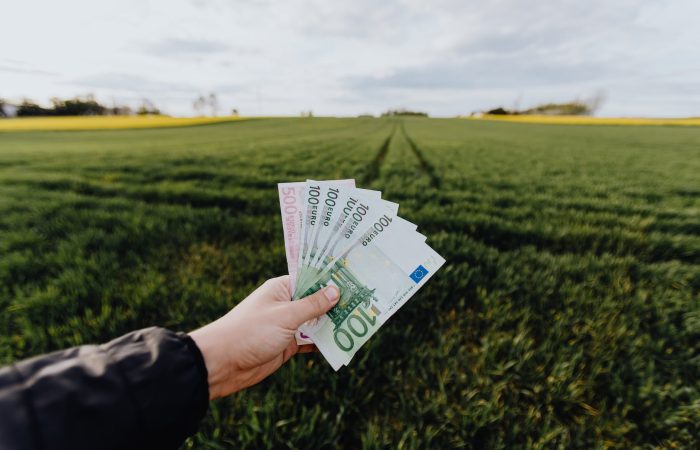 crop farmer showing money in green summer field in countryside