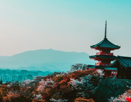 red and black temple surrounded by trees photo