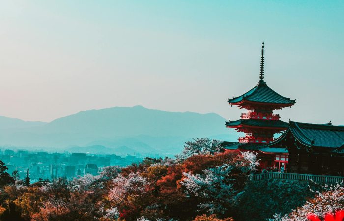 red and black temple surrounded by trees photo