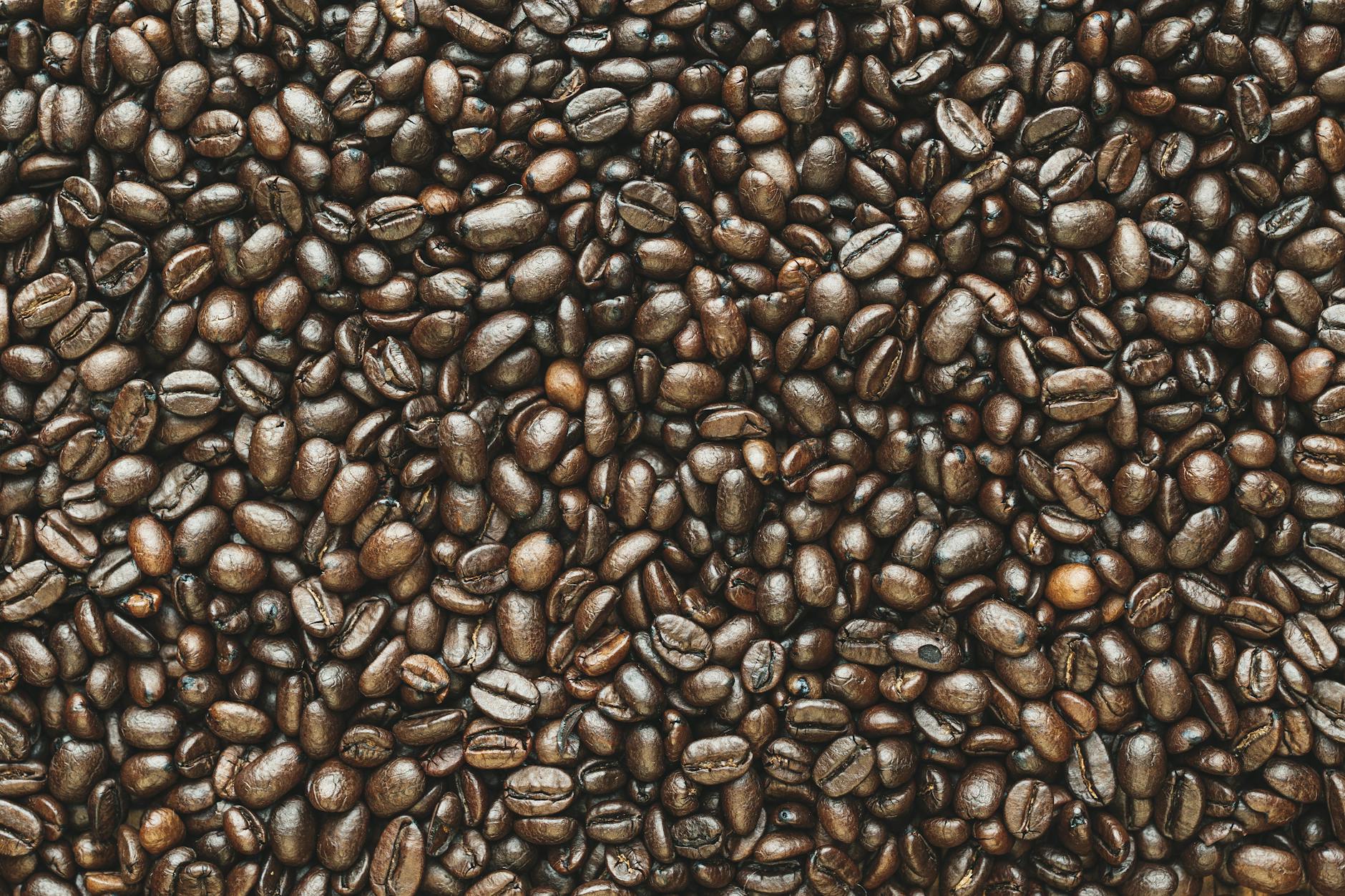 close up photography of coffee beans